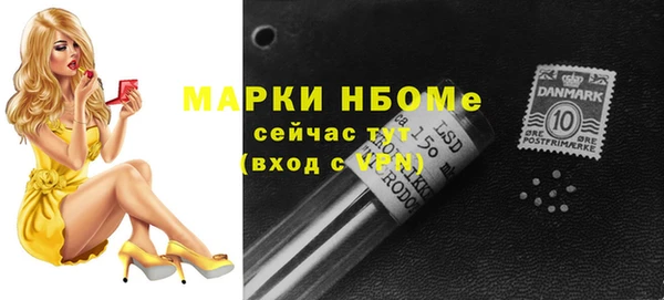 прущие грибы Абаза