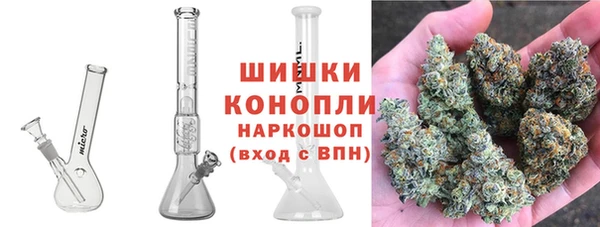 прущие грибы Абаза