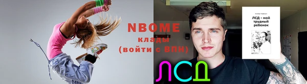 прущие грибы Абаза