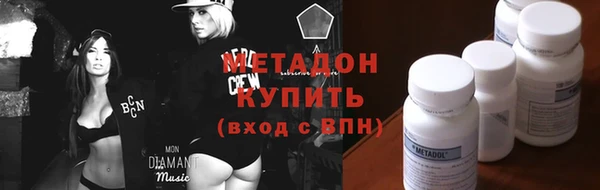 прущие грибы Абаза
