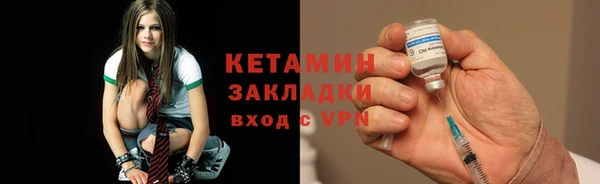 прущие грибы Абаза