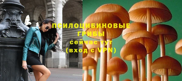 СК Абинск