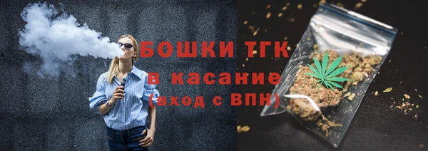 прущие грибы Абаза