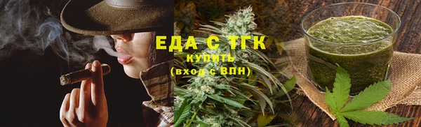 прущие грибы Абаза