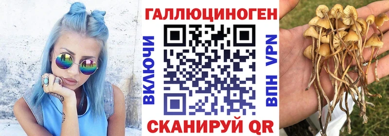 Галлюциногенные грибы Magic Shrooms  это состав  Новая Усмань  где найти  